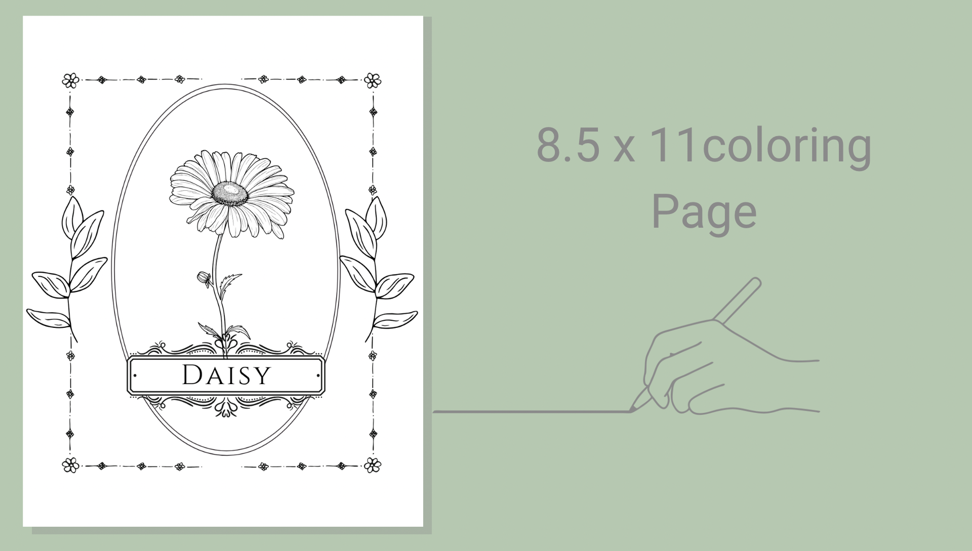 Daisy Flower Coloring Page